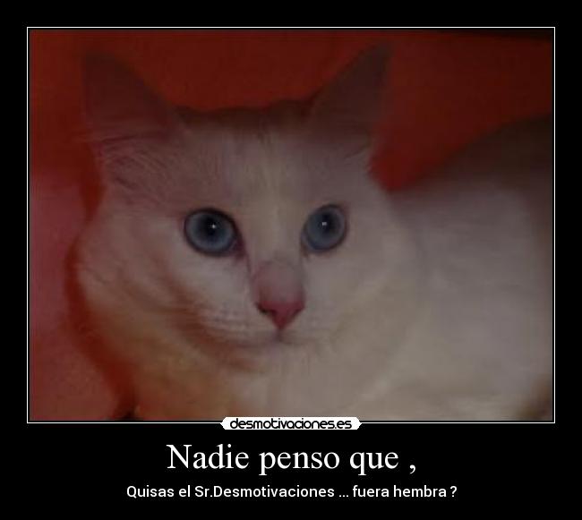 Nadie penso que , -
