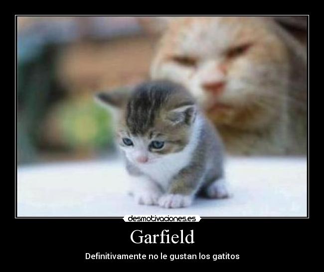 Garfield - Definitivamente no le gustan los gatitos