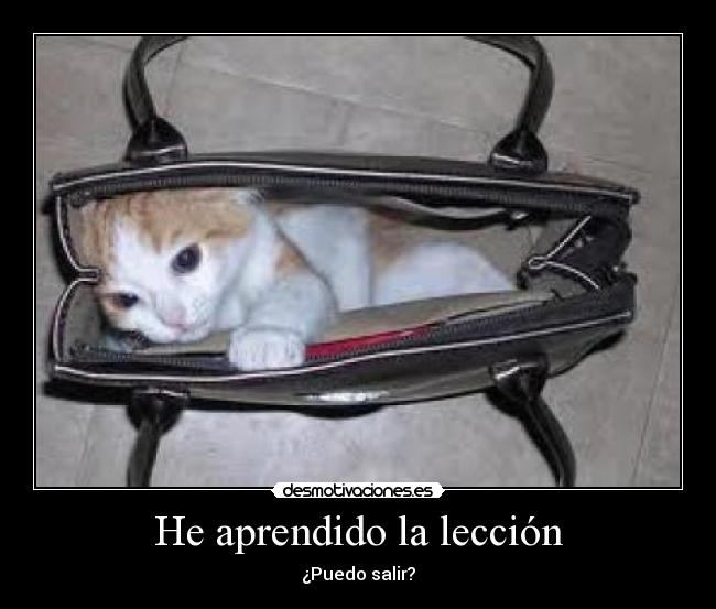 He aprendido la lección -