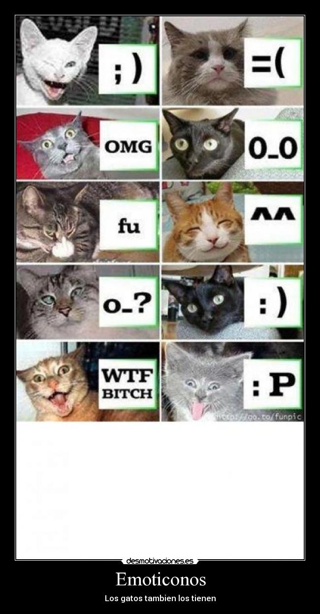 Emoticonos - Los gatos tambien los tienen