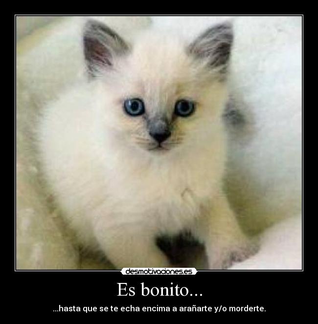 Es bonito... -