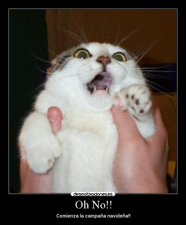 Oh No!! - Comienza la campaña navideña!!