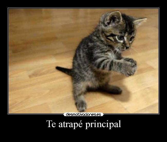 Te atrapé principal - 