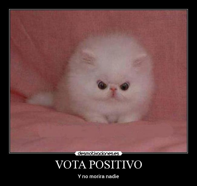 carteles gatito morir desmotivaciones