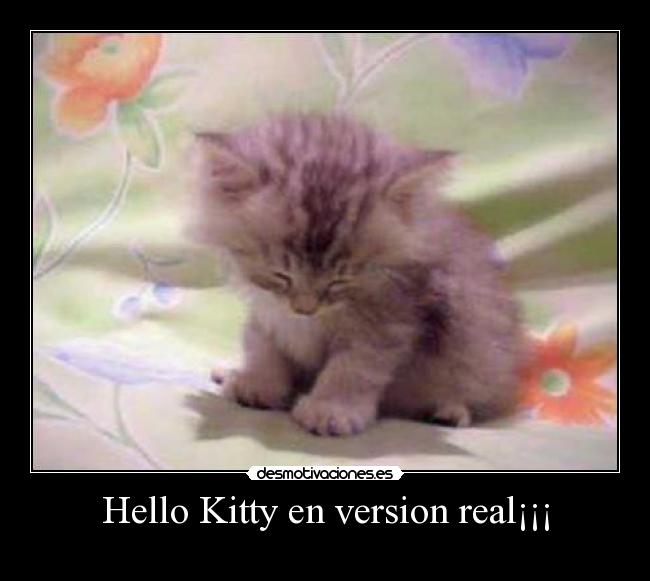Hello Kitty en version real¡¡¡ -