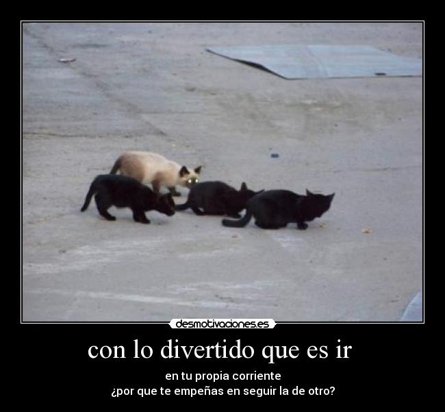 con lo divertido que es ir - en tu propia corriente
¿por que te empeñas en seguir la de otro?