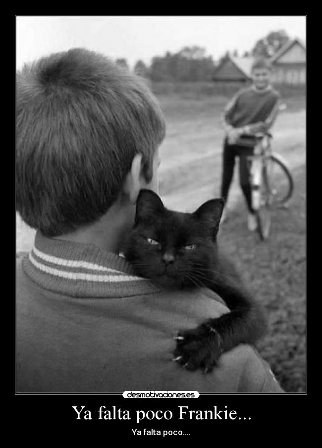 Ya falta poco Frankie... -