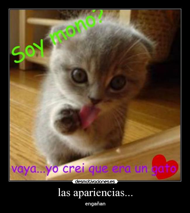 las apariencias... - 