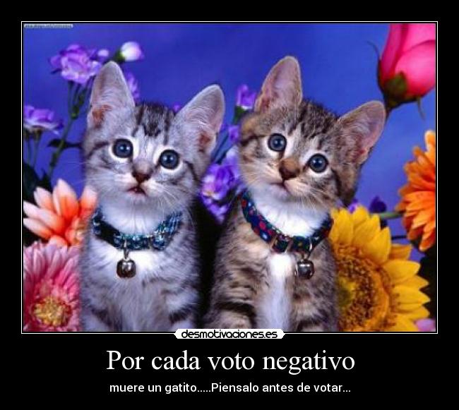 Por cada voto negativo - 