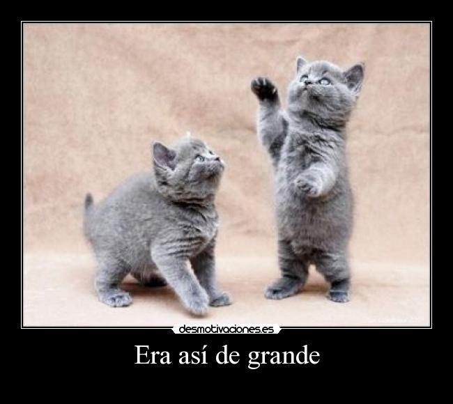 Era así de grande - 