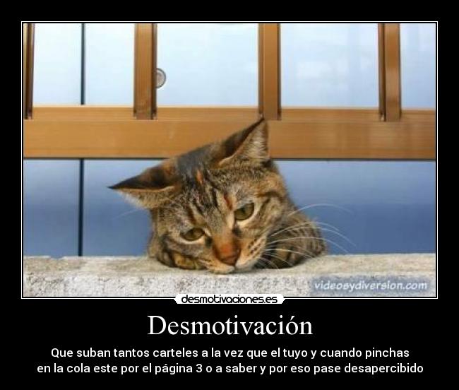 Desmotivación - Que suban tantos carteles a la vez que el tuyo y cuando pinchas
en la cola este por el página 3 o a saber y por eso pase desapercibido