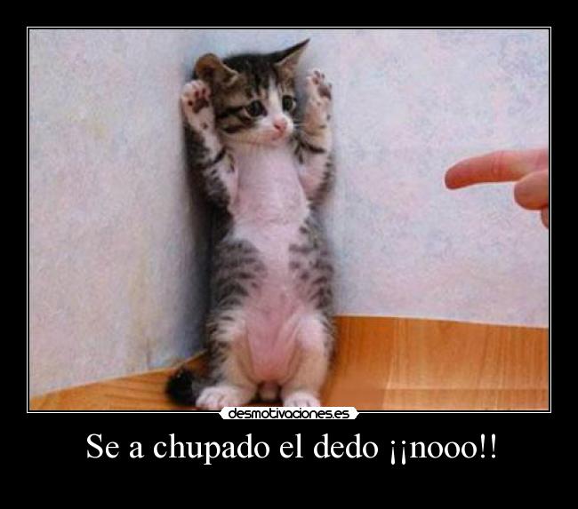 Se a chupado el dedo ¡¡nooo!! - 