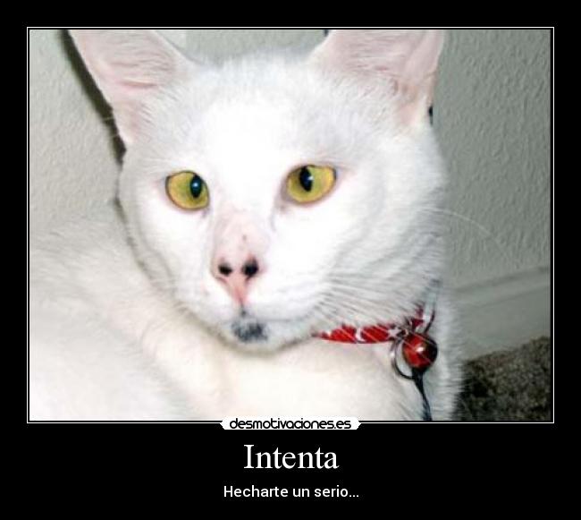 Intenta - Hecharte un serio...