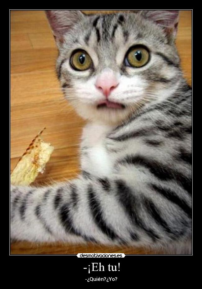 -¡Eh tu! -