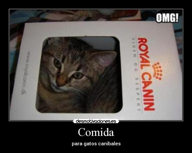 Comida - para gatos canibales