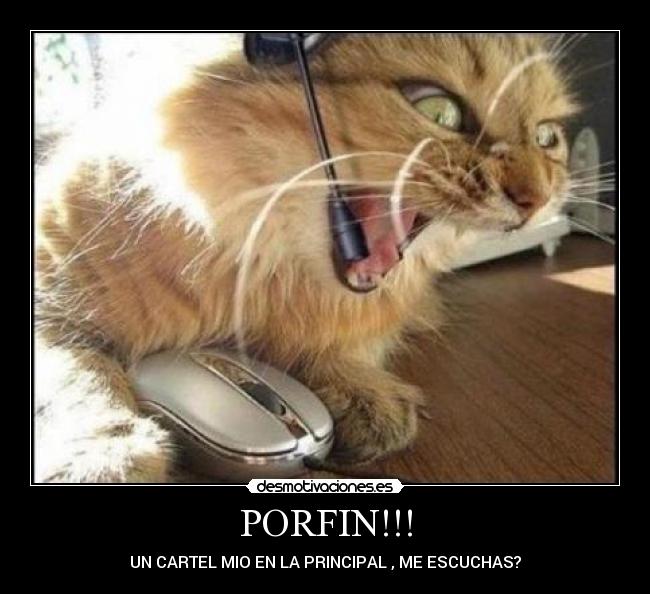 carteles ringo desmotivaciones