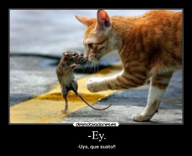 -Ey. - -Uys, que susto!!