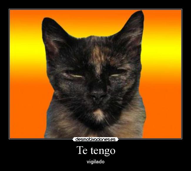 Te tengo - 