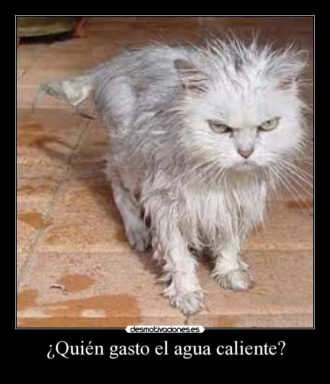 ¿Quién gasto el agua caliente? - 