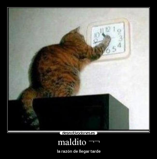 maldito ¬¬ - 