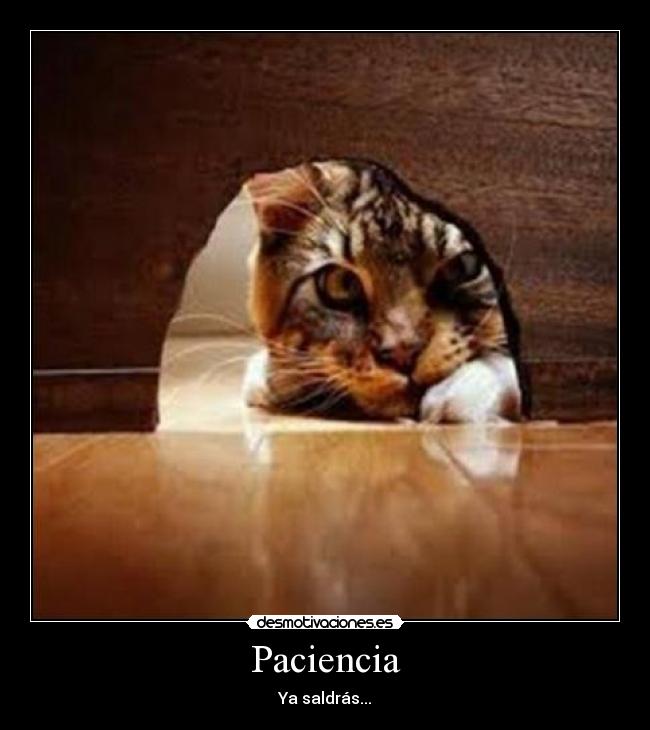 Paciencia - 