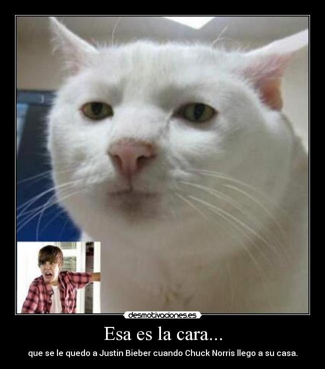 Esa es la cara... - 