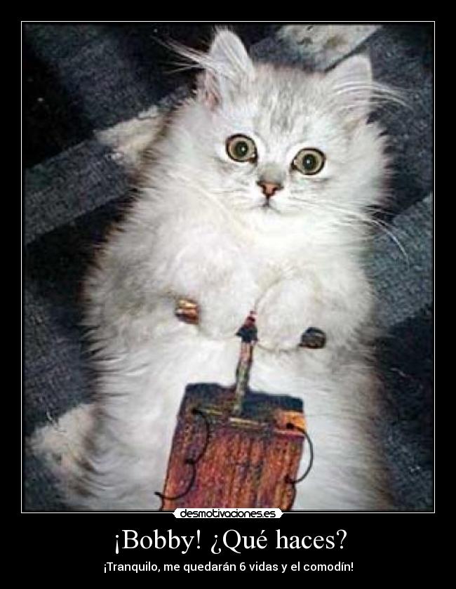 ¡Bobby! ¿Qué haces? - ¡Tranquilo, me quedarán 6 vidas y el comodín!