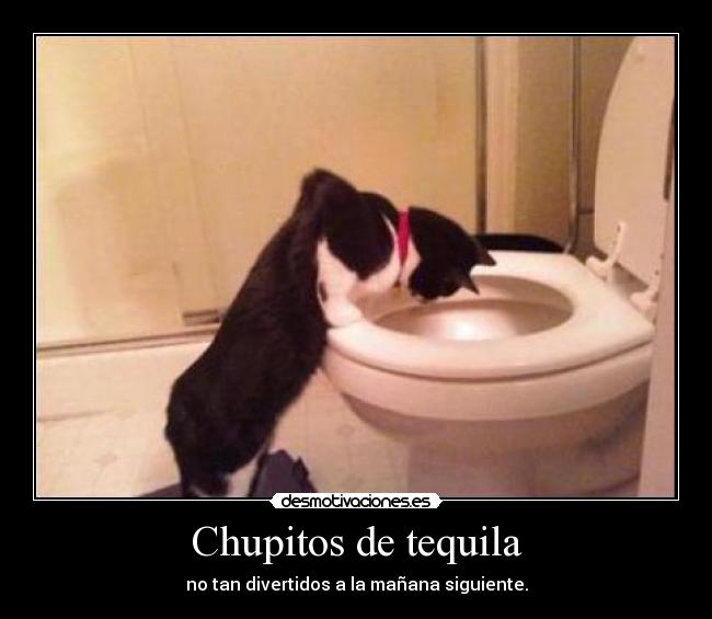 Chupitos de tequila -