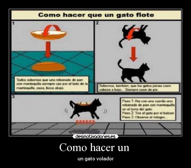 Como hacer un  - un gato volador
