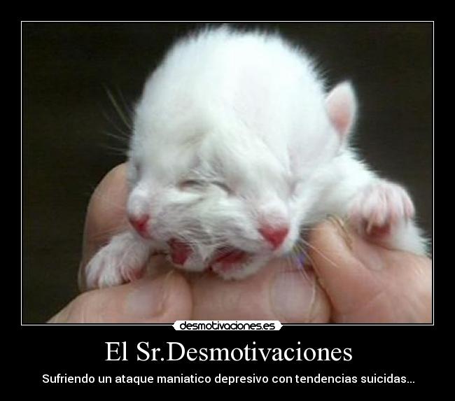 El Sr.Desmotivaciones -