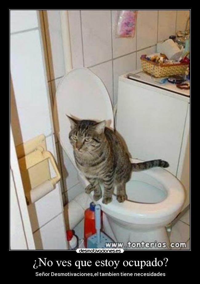 ¿No ves que estoy ocupado? - Señor Desmotivaciones,el tambien tiene necesidades