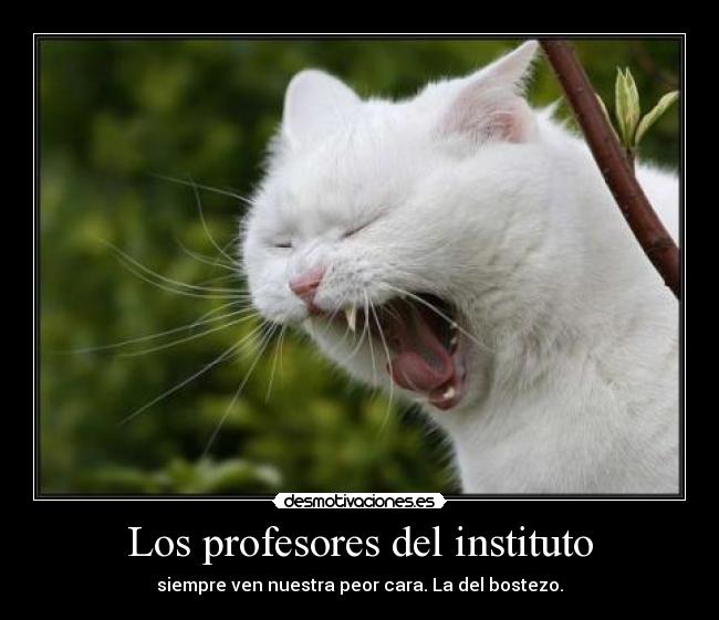 Los profesores del instituto - siempre ven nuestra peor cara. La del bostezo.