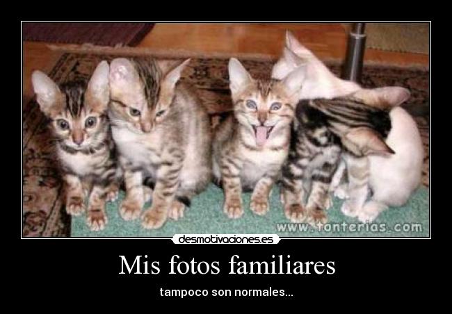 Mis fotos familiares -