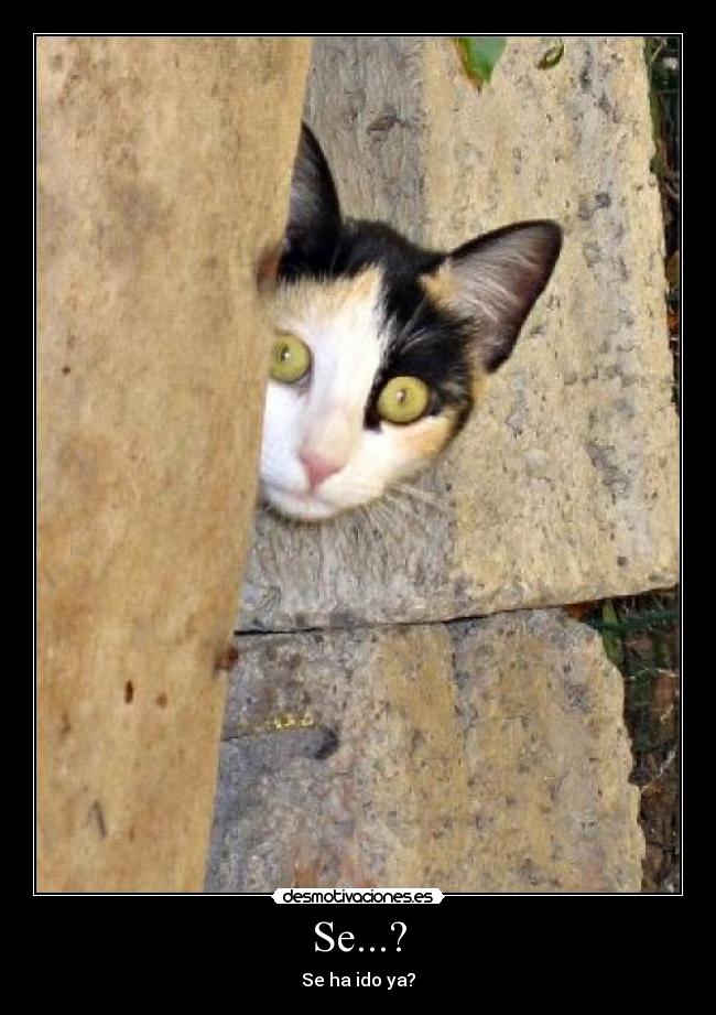 Se...? - Se ha ido ya?