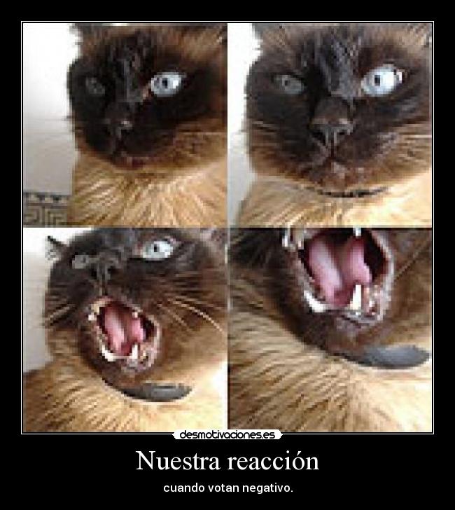 Nuestra reacción - 