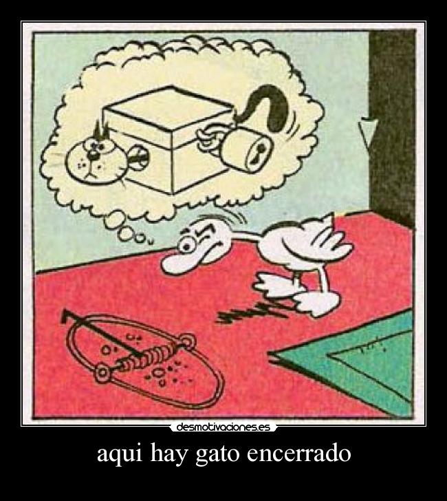 aqui hay gato encerrado - 