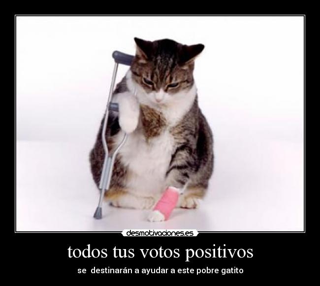 todos tus votos positivos -