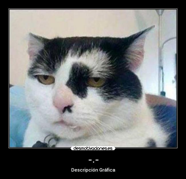 -.- - Descripción Gráfica