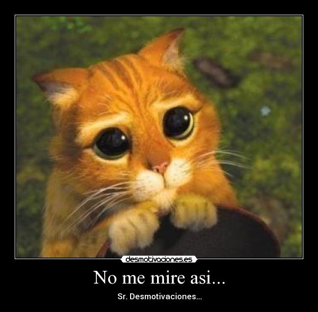 No me mire asi... - Sr. Desmotivaciones...