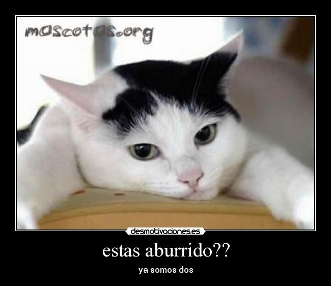 estas aburrido?? - ya somos dos