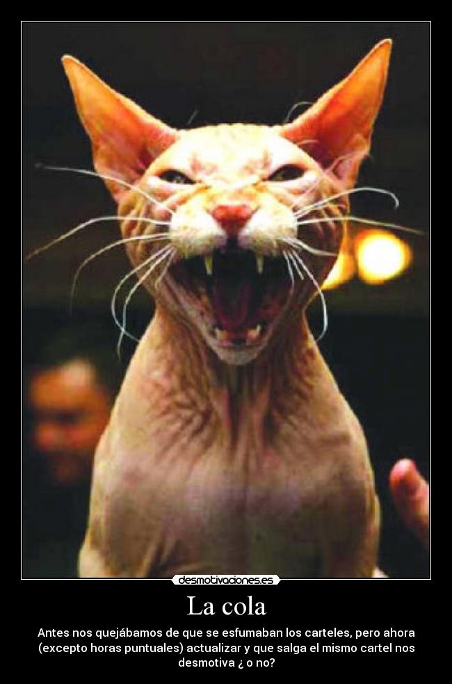 La cola - Antes nos quejábamos de que se esfumaban los carteles, pero ahora
(excepto horas puntuales) actualizar y que salga el mismo cartel nos
desmotiva ¿ o no?