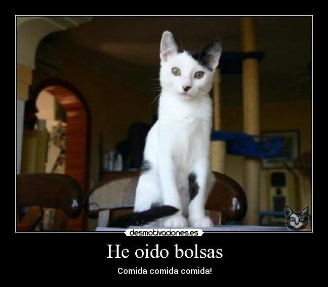 He oido bolsas - Comida comida comida!