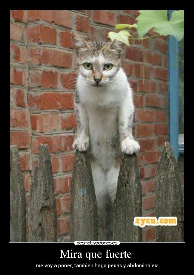 Mira que fuerte  - 