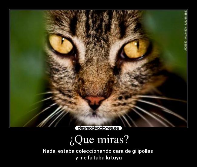 ¿Que miras? - Nada, estaba coleccionando cara de gilipollas
y me faltaba la tuya