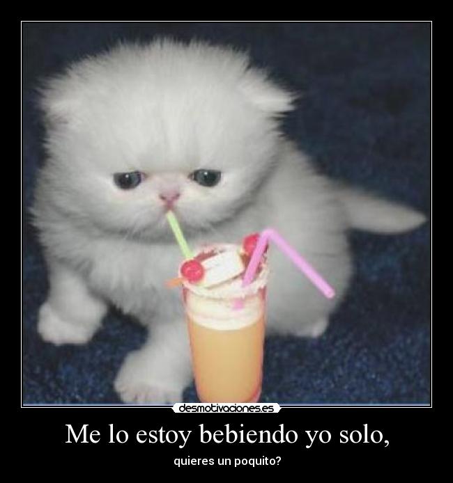 Me lo estoy bebiendo yo solo, -