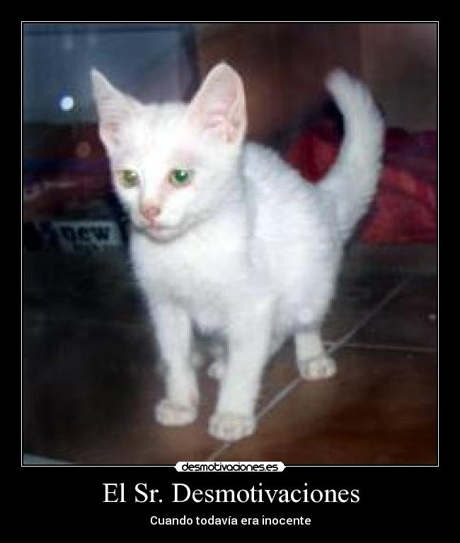 El Sr. Desmotivaciones -