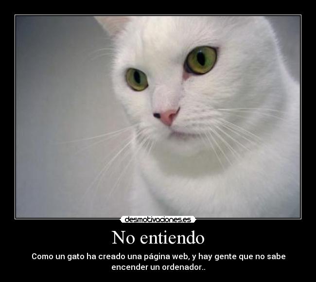 No entiendo - Como un gato ha creado una página web, y hay gente que no sabe
encender un ordenador..