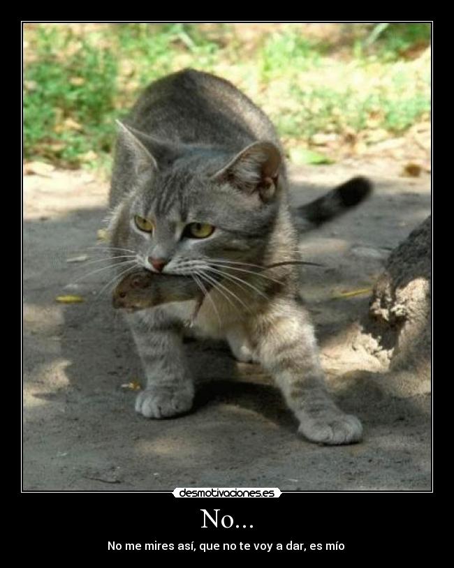 No... - No me mires así, que no te voy a dar, es mío