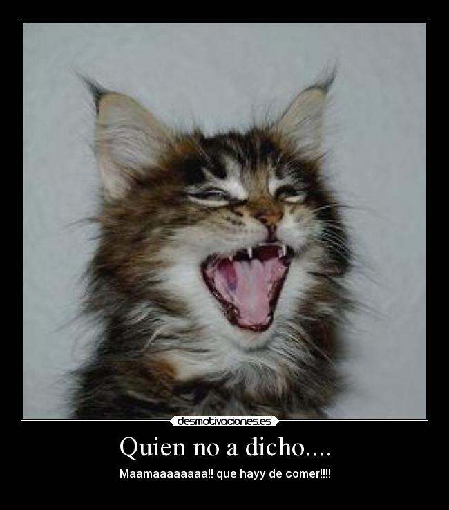 Quien no a dicho.... - Maamaaaaaaaa!! que hayy de comer!!!!