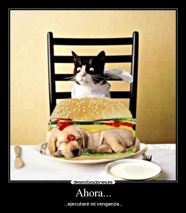 Ahora... - ...ejecutaré mi venganza...